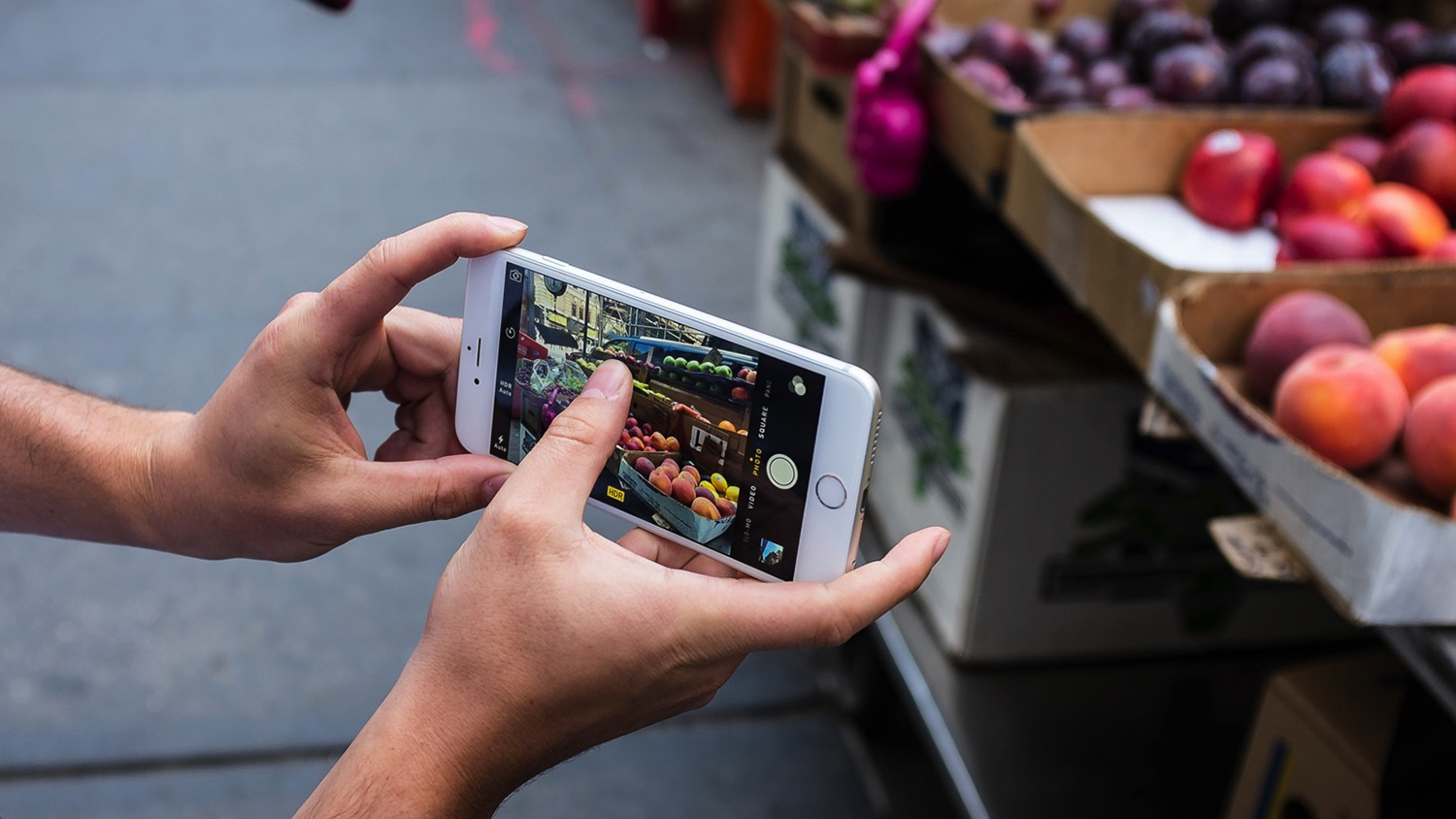 Cara Jepret Stock Foto Pakai Handphone