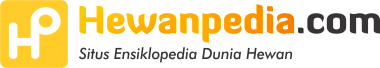 Logo Hewanpedia